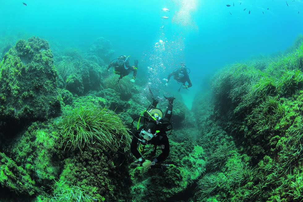 Submarinistas en el parque del Cabo de Gata-Níjar, en Almería.
