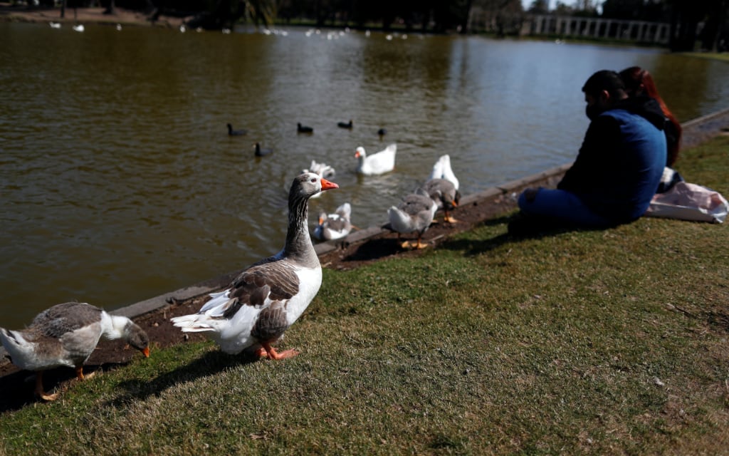 ‘Mover cielo y tierra’ para que el acceso a vacuna Covid-19 sea ‘equitativo’, insta la OMS