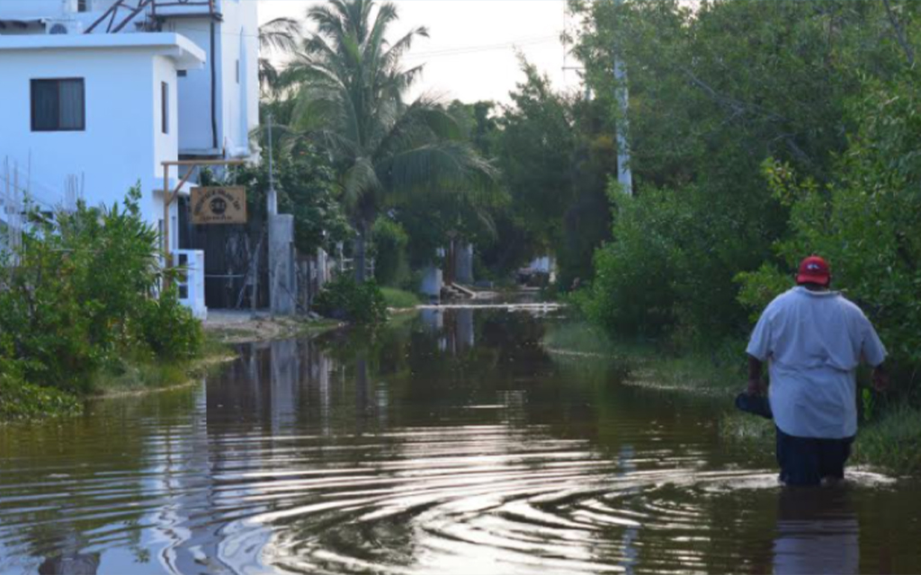 Eduardo Pacheco Cetina