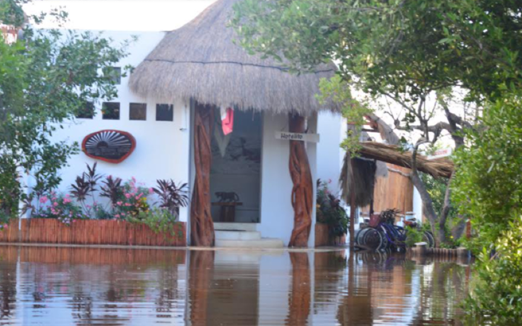 Eduardo Pacheco Cetina