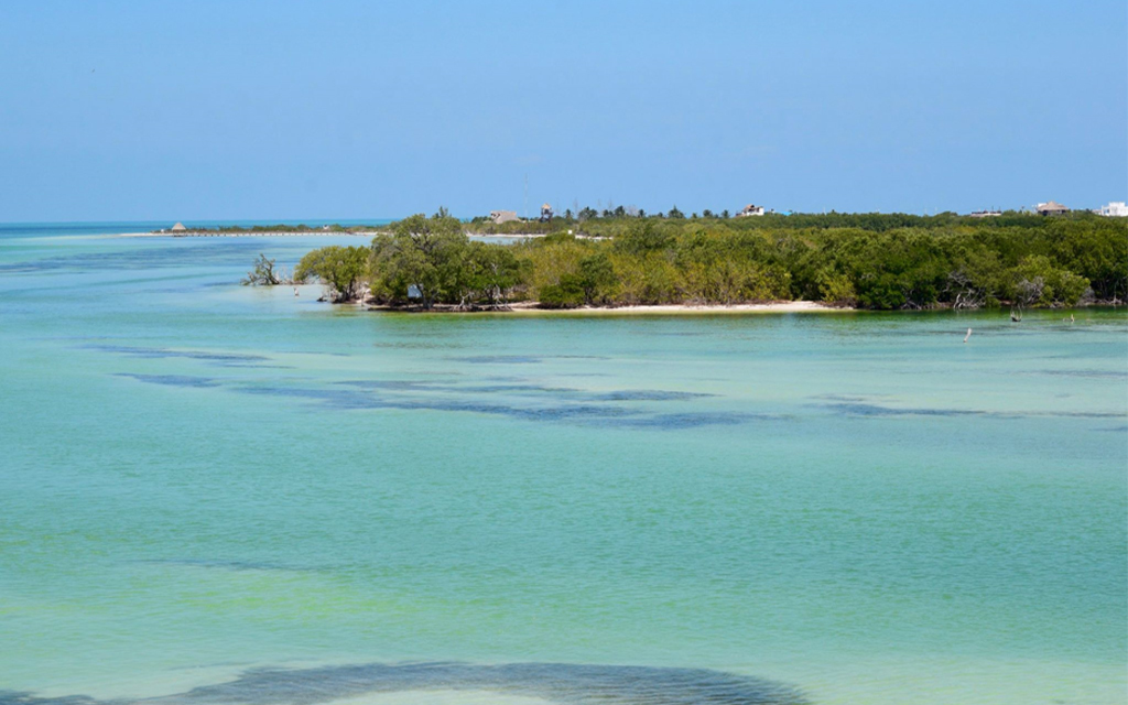 Eduardo Pacheco Cetina