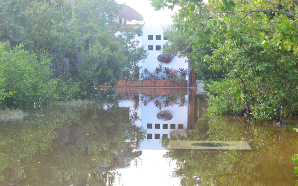 Eduardo Pacheco Cetina