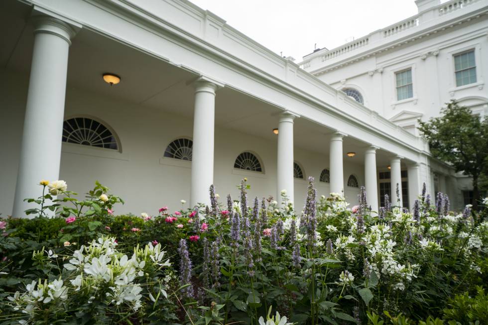 melania trump jardin casa blanca
