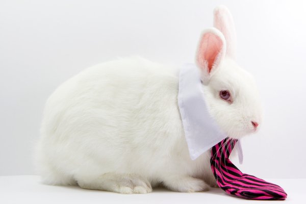 Google Cloud lanza su plataforma de aplicaciones empresariales basada en Apigee y AppSheet