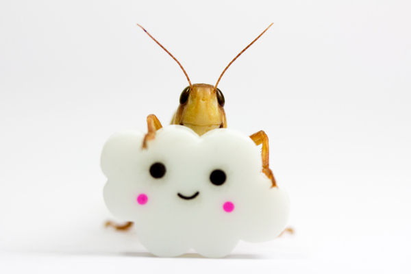 Google Cloud permite a las empresas crear sus propias voces de conversión de texto a voz