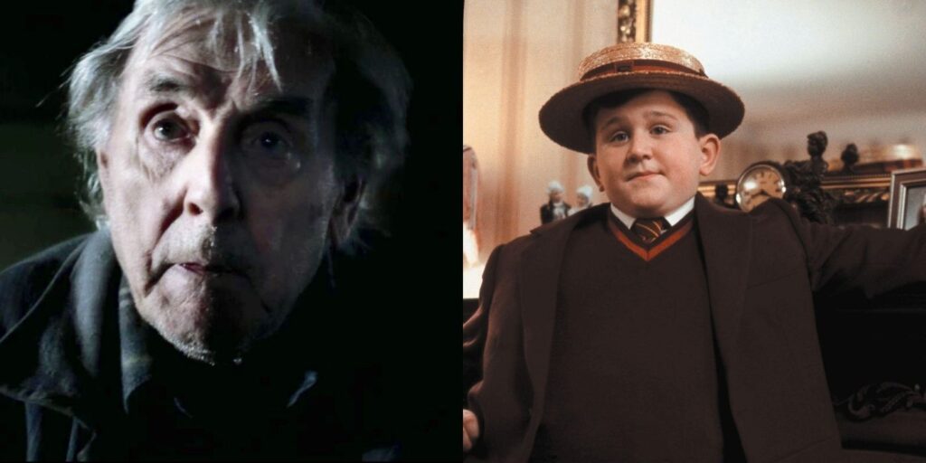 Harry Potter: 5 muggles más simpáticos (y 5 que no podemos soportar)