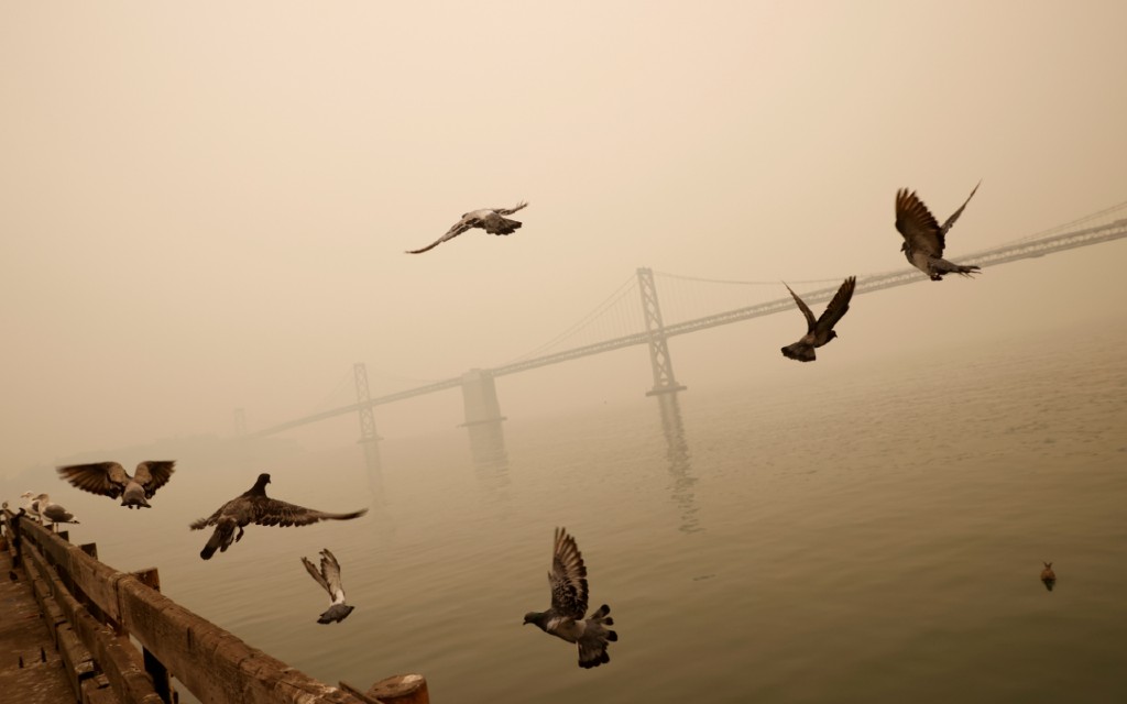 Incendios en California dejan ya 12 muertos