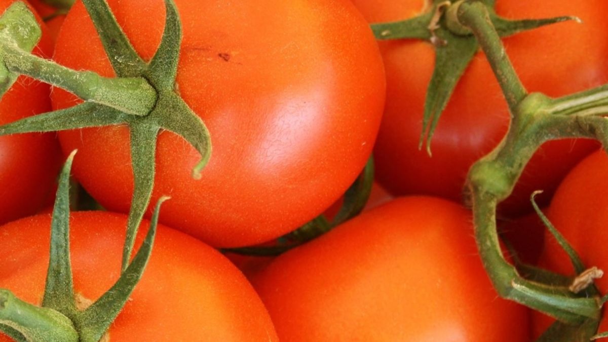 La mejor mascarilla de tomate para eliminar las manchas solares