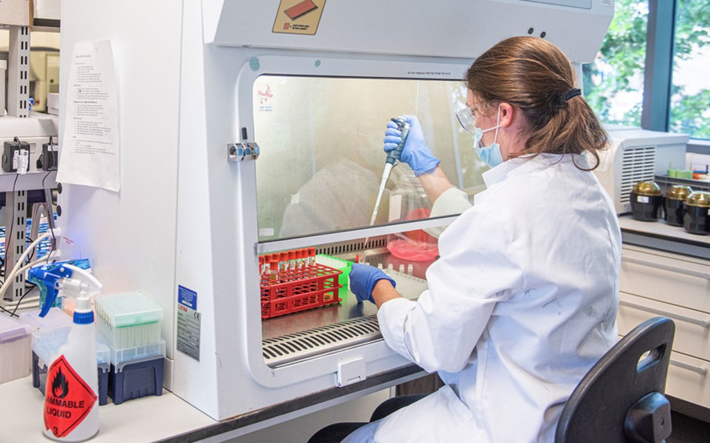 Más de 150 países se unen a COVAX, iniciativa para distribuir vacuna contra Covid-19