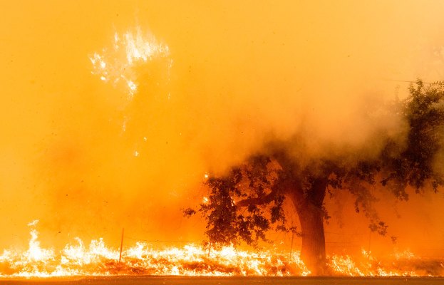 Mientras el oeste de EE. UU. Arde, un servicio de monitoreo de captura de carbono forestal obtiene efectivo del fondo respaldado por Amazon y Bill Gates