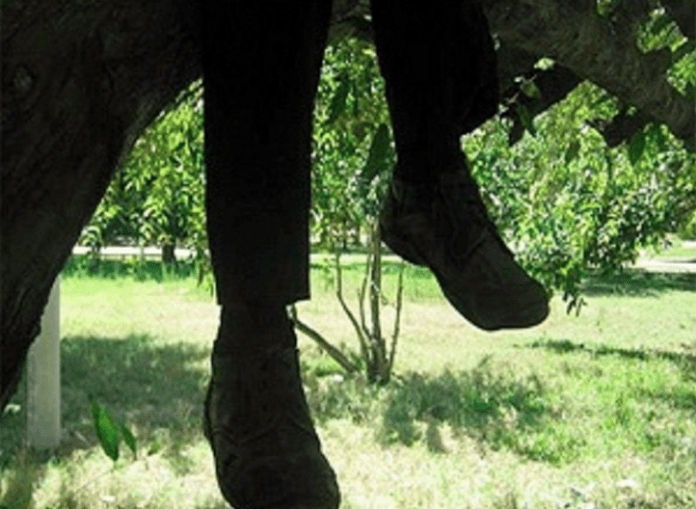 Suicidios en Querétaro; 5º lugar nacional, 116 suicidios van en este año, cifras a la alza