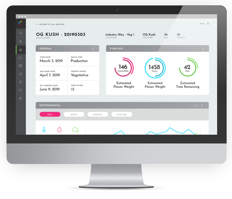 Trym recauda $ 3,1 millones de semillas para hacer crecer su plataforma de cultivo de cannabis