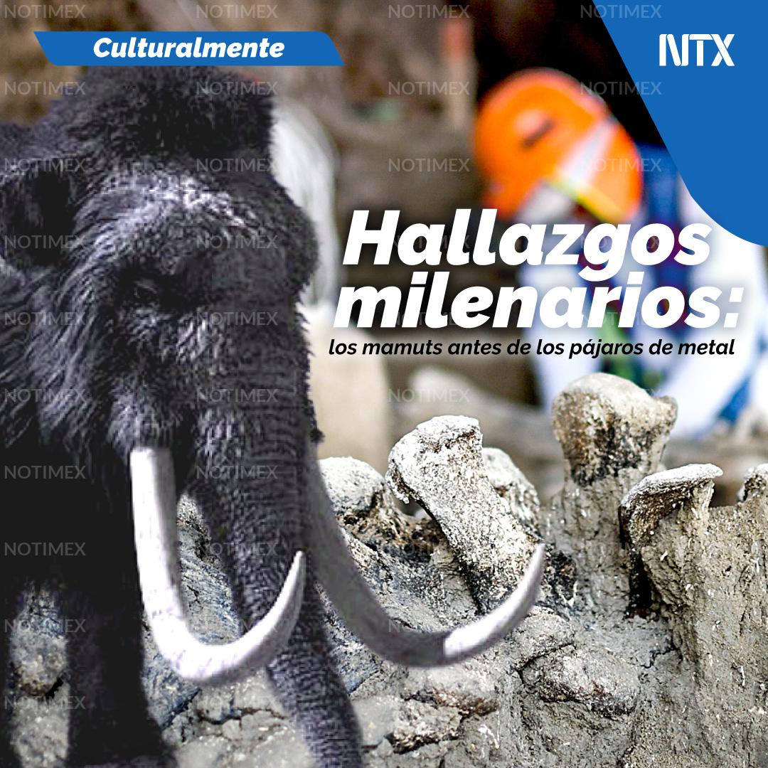 Hallazgos milenarios: los mamuts antes de los pájaros de metal