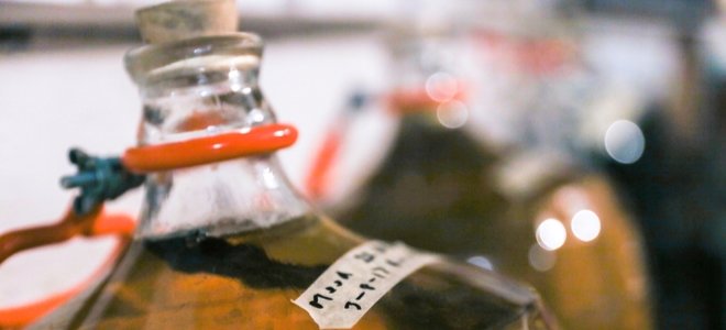 jarras grandes de vino de miel casero