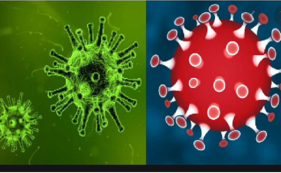 10 muertes este domingo; no bajan las cifras de COVID en Querétaro, hay 135 nuevos contagios