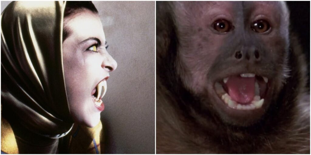 10 películas de terror de los 80 que nunca has visto |  ScreenRant