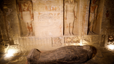 Egipto: Hallan 59 sarcófagos que datan de hace 2 mil 600 años