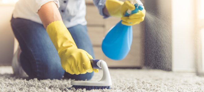 limpiar una alfombra con una botella de spray y un cepillo