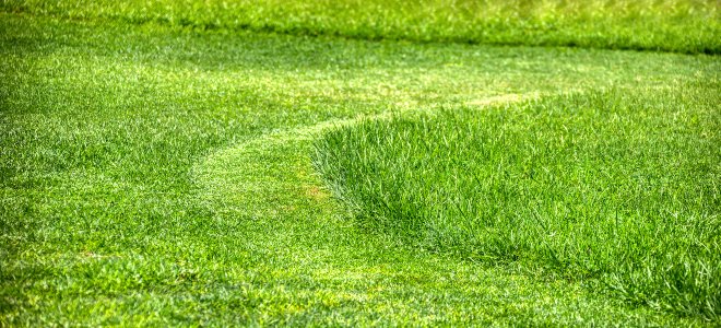 césped cortado con césped largo y corto