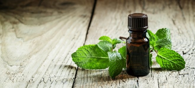aceite esencial con menta