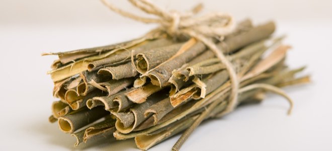 manojo de corteza de sauce