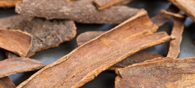 3 árboles con corteza comestible