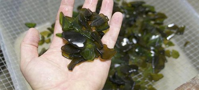 6 manualidades para hacer con vidrio roto