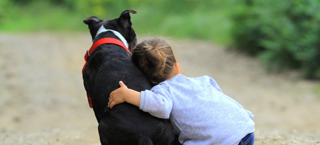 Cómo crear y personalizar elegantes collares para perros