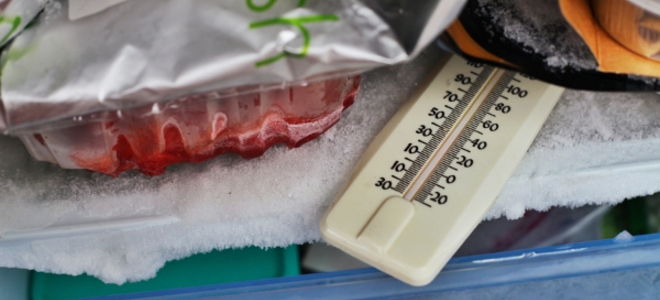 Ahorre dinero: productos y productos lácteos que puede y no puede congelar