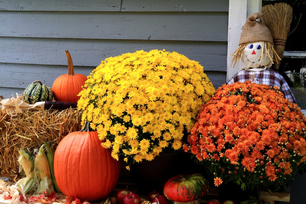 Decoración del porche que incluye un fardo de heno, flores y un espantapájaros