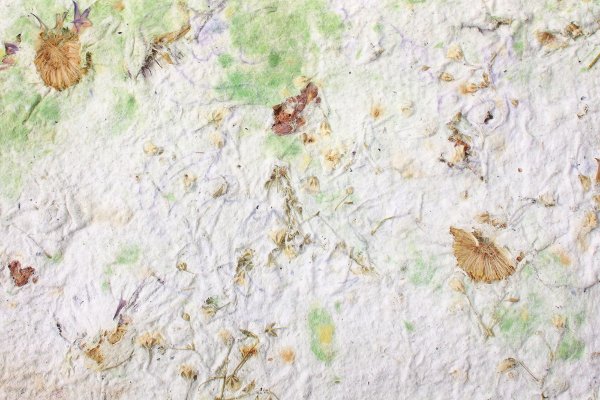 Una hoja de papel blanco hecho en casa con rastros de color verde y púrpura y flores presionadas.