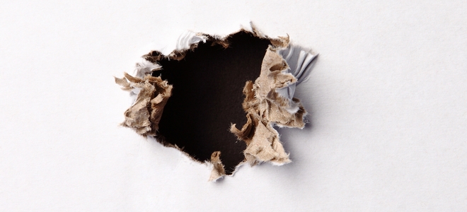 Señales ocultas de que tiene un problema de plagas en su casa