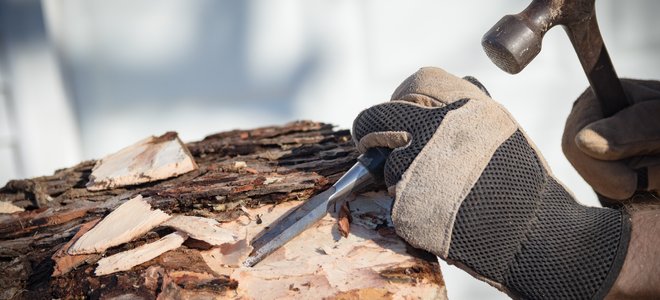 Manos enguantadas con cincel y martillo para quitar la corteza del tocón de un árbol