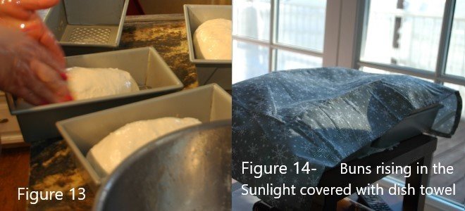 poner masa de pan en el horno para hornear