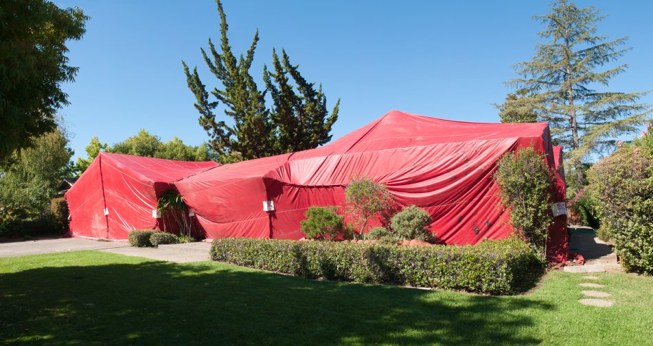 edificio de carpas para el tratamiento de termitas