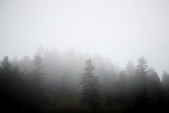 La niebla del GP de Eifel de F1 2020