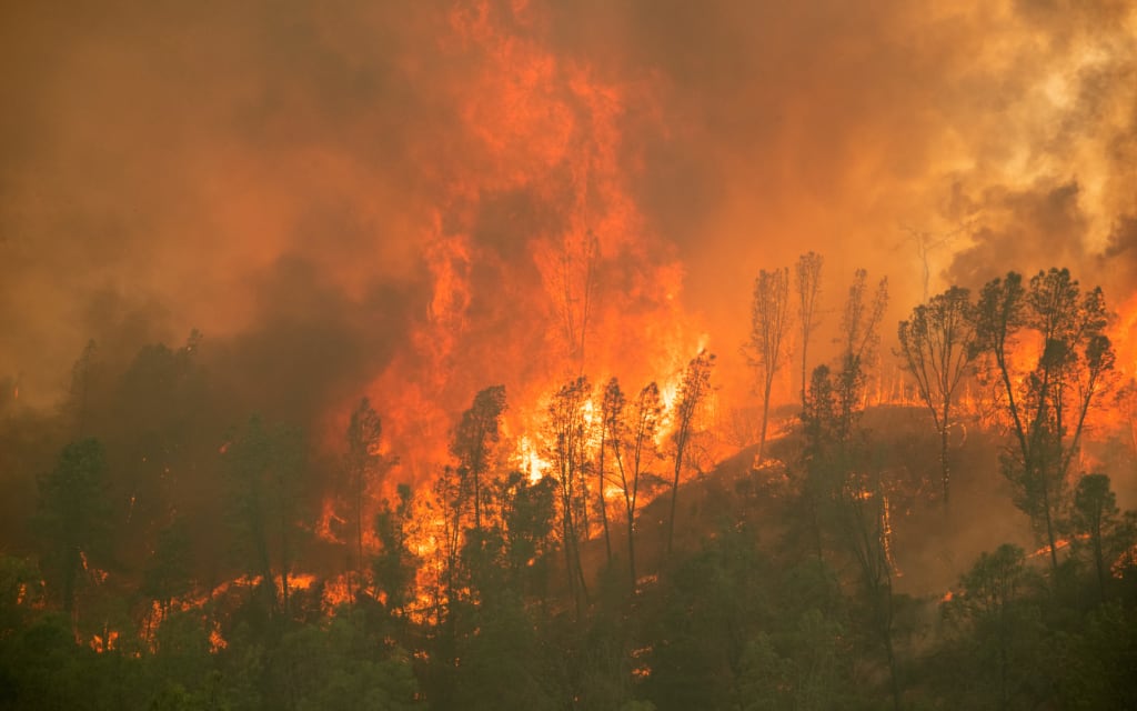 ONU advierte sobre un dramático aumento de desastres naturales en últimos 20 años
