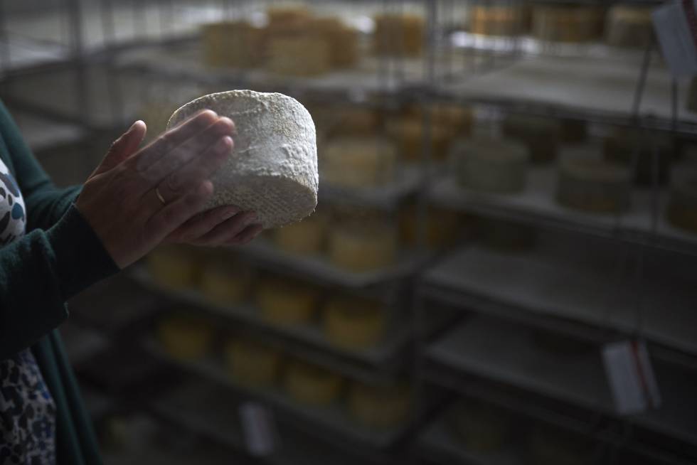 Por Tierras de Iranzu