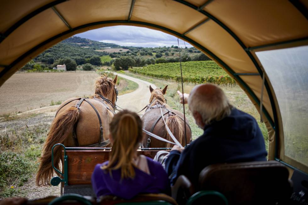 Recorrido por los viñedos de la bodega Lezaún.