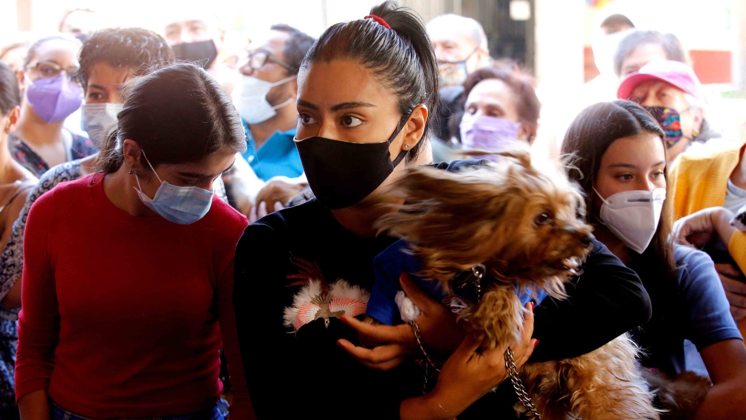 ¿Funciona la inmunidad de rebaño contra el COVID-19? Lo que dice la OMS