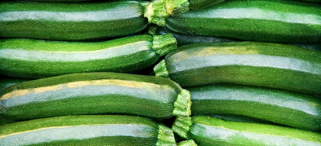 ¿Creció calabacín extra?  Aquí hay 3 deliciosas recetas