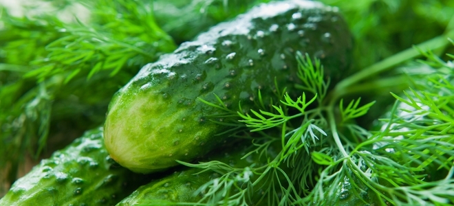 Cómo hacer tus propios encurtidos