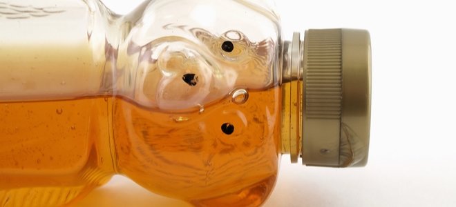 un oso de miel de lado