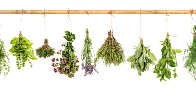 Una variedad de hierbas colgantes.