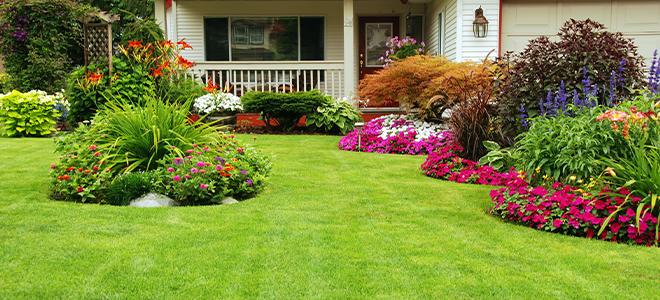 Un patio delantero con hermosos jardines