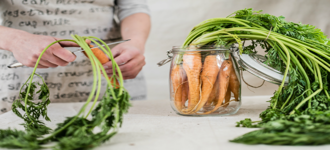 Alguien cortando zanahorias para enlatar.