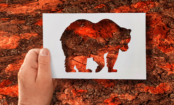 Plantilla de un oso contra un fondo de madera