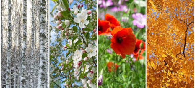 Cómo hacer un calendario anual de mantenimiento del hogar