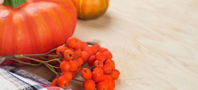 Ideas de decoración de otoño |  LaNetaNeta.com