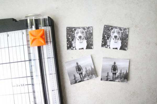 Un cortador de papel con fotos al lado. 